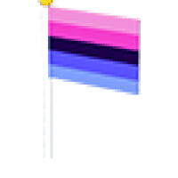 Omnisex Flag - Uncommon from Pride Event 2022